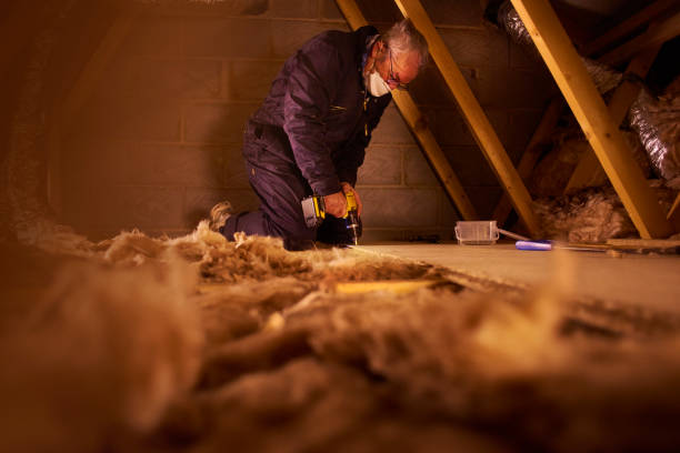 Best Insulation Contractors for Homes  in Meadowbrook, AL